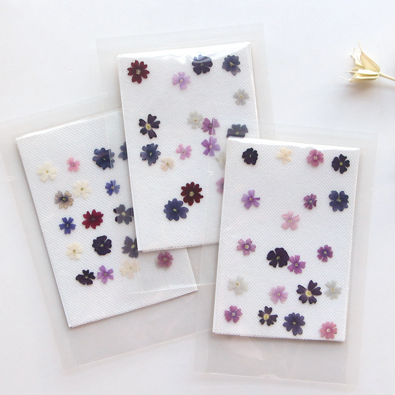 Pressed Flower Frame - 40 قطعة/الوحدة ، صغيرة الجمال الكرز