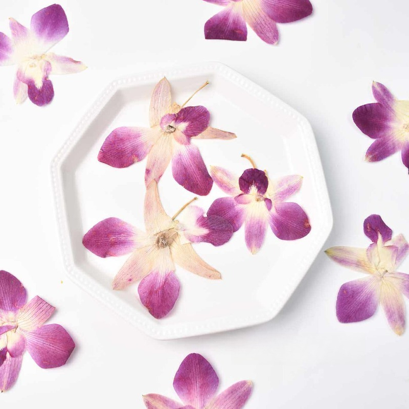 Pressed Flower Frame - 4 قطع، زهور الأوركيد الفراشية المضغوطة