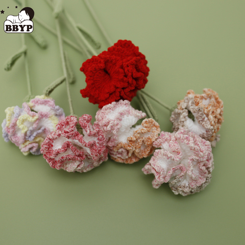 Yarn Home Decor - أميجورومي غزل الكروشيه القرنفل ديكور المنزل