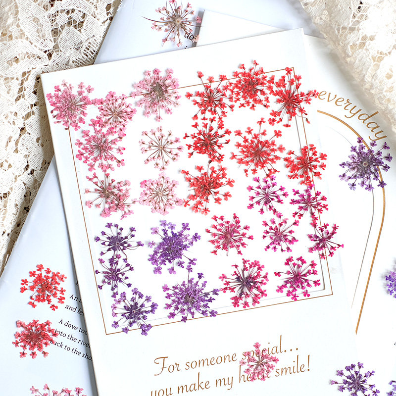 Pressed Flower Frame - 24 قطعة، 2-2.5 سم، بتلات زهور