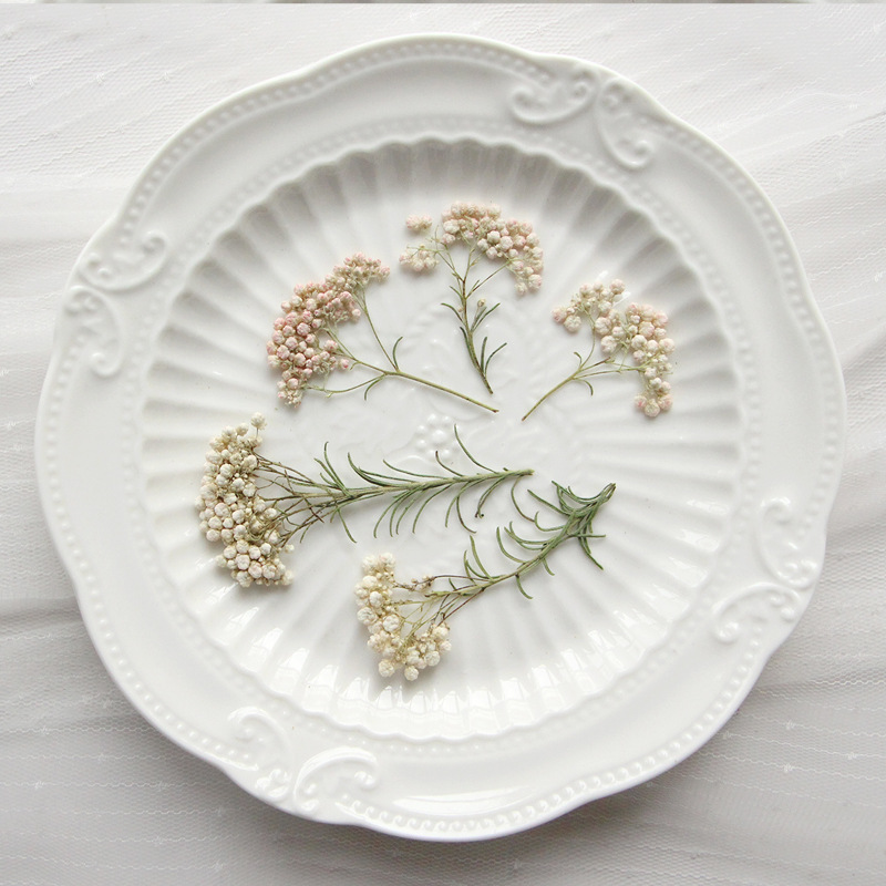 Pressed Flower Frame - 12 قطعة، أغصان زهور الدخن الطبيعية،