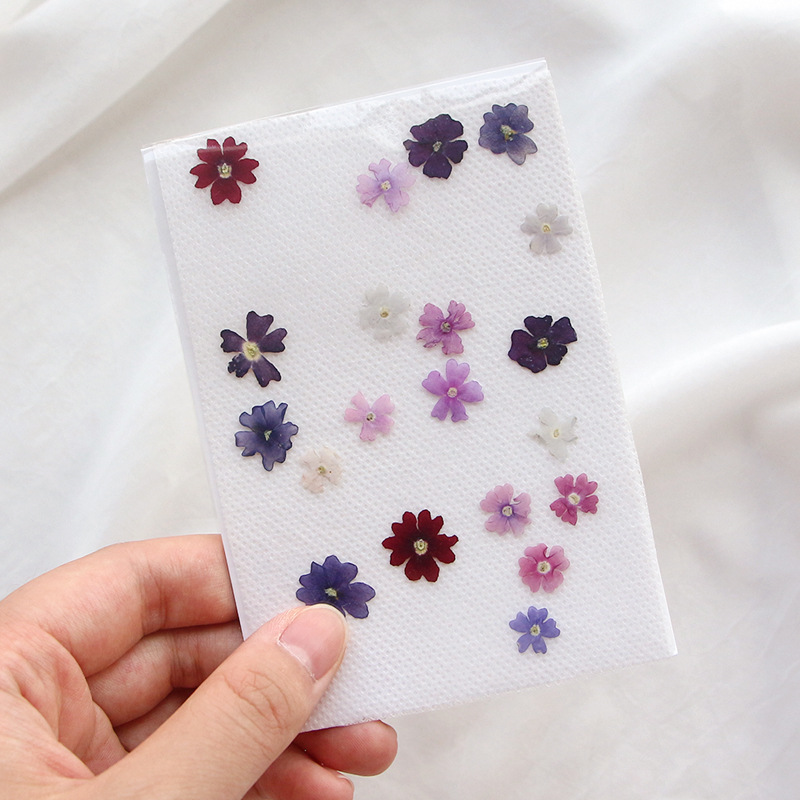 40 قطعة/الوحدة ، صغيرة الجمال  - مراجعة Pressed Flower Frame وسعره
