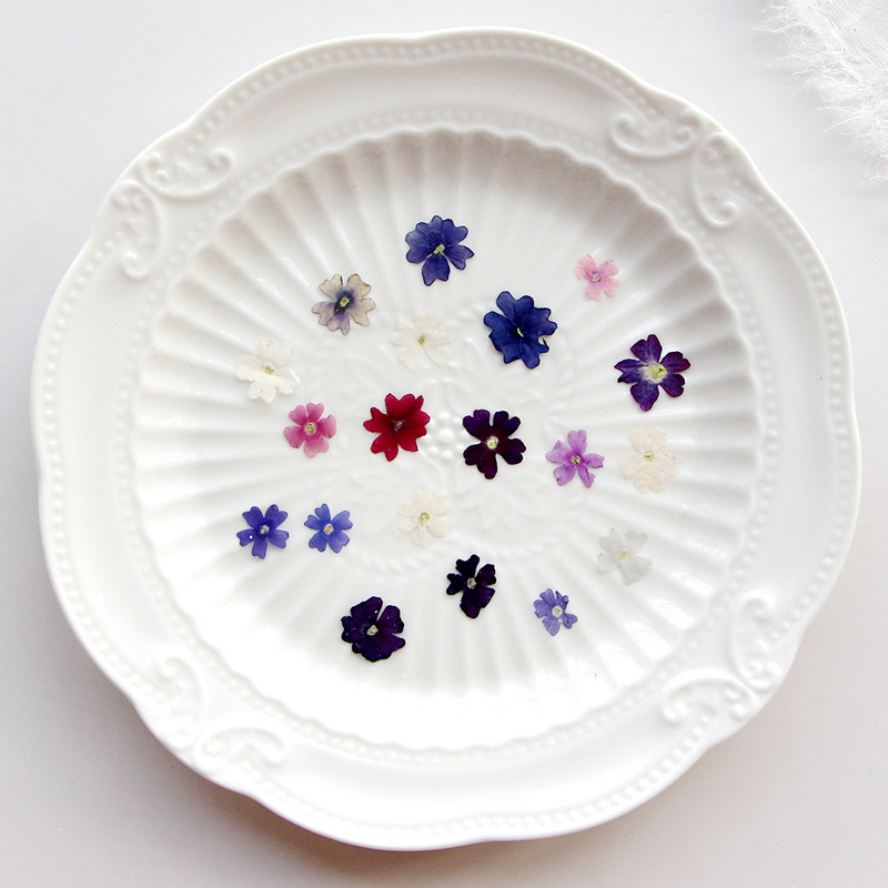 40 قطعة/الوحدة ، صغيرة الجمال  - مراجعة Pressed Flower Frame وسعره