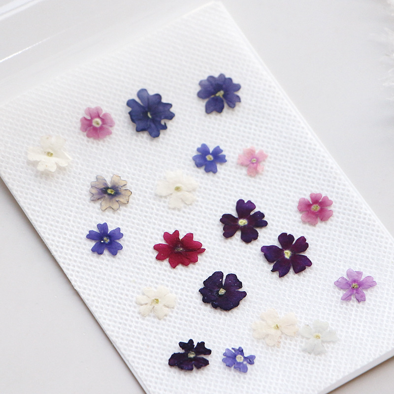 40 قطعة/الوحدة ، صغيرة الجمال  - مراجعة Pressed Flower Frame وسعره