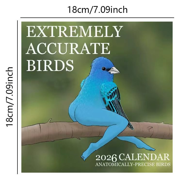 تقويم الطيور الدقيقة للغاية 20 - مراجعة Home Decor Xmas Gifts وسعره