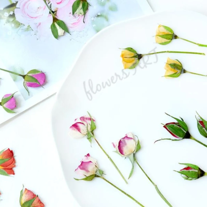 بتلات زهور الورد المضغوطة، زهو - مراجعة Pressed Flower Frame وسعره