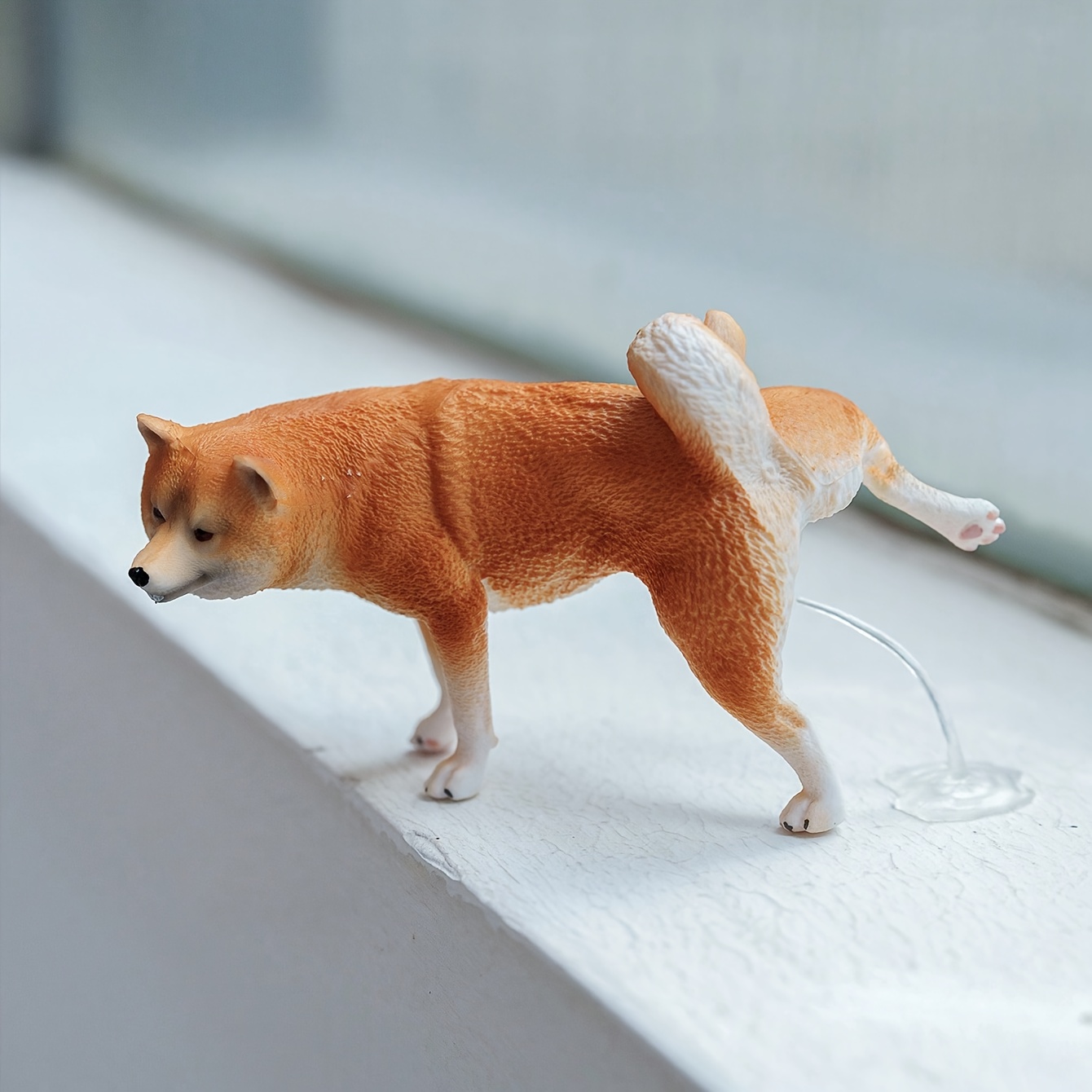 1/6 مقياس مضحك شيبا Inu تمثال  - مراجعة Home Decor Resin وسعره