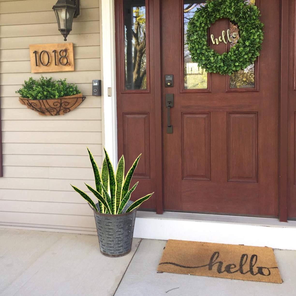 نباتات Sansevieria اصطناعية ثع - مراجعة Home Decor Store وسعره