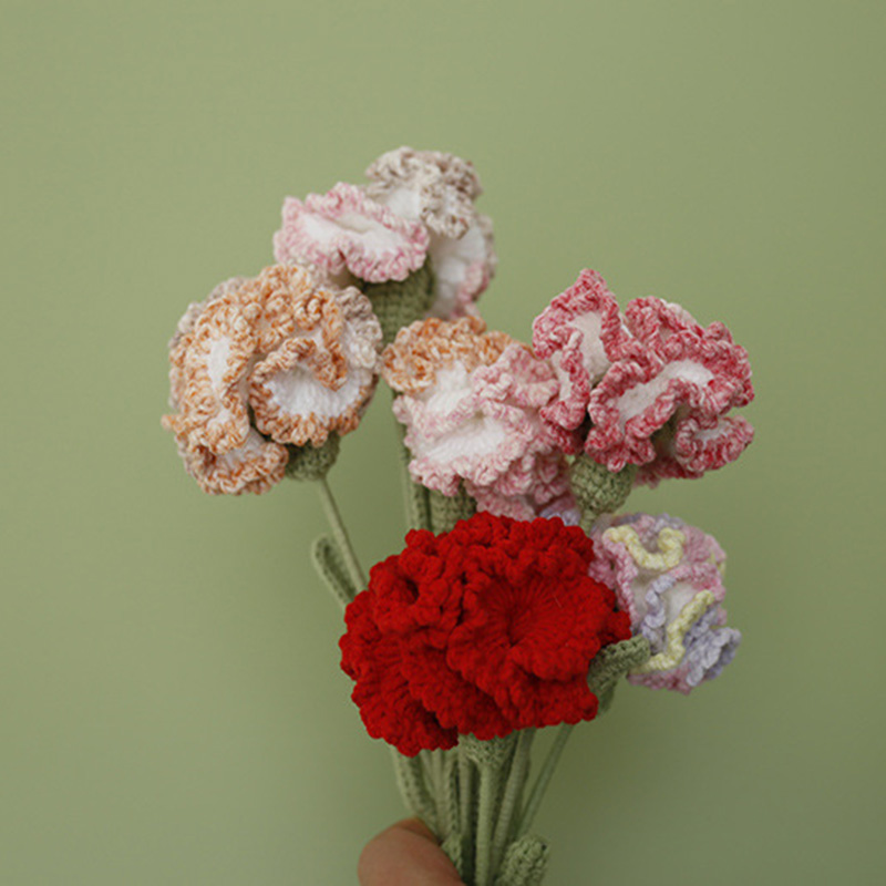 أميجورومي غزل الكروشيه القرنفل - مراجعة Yarn Home Decor وسعره