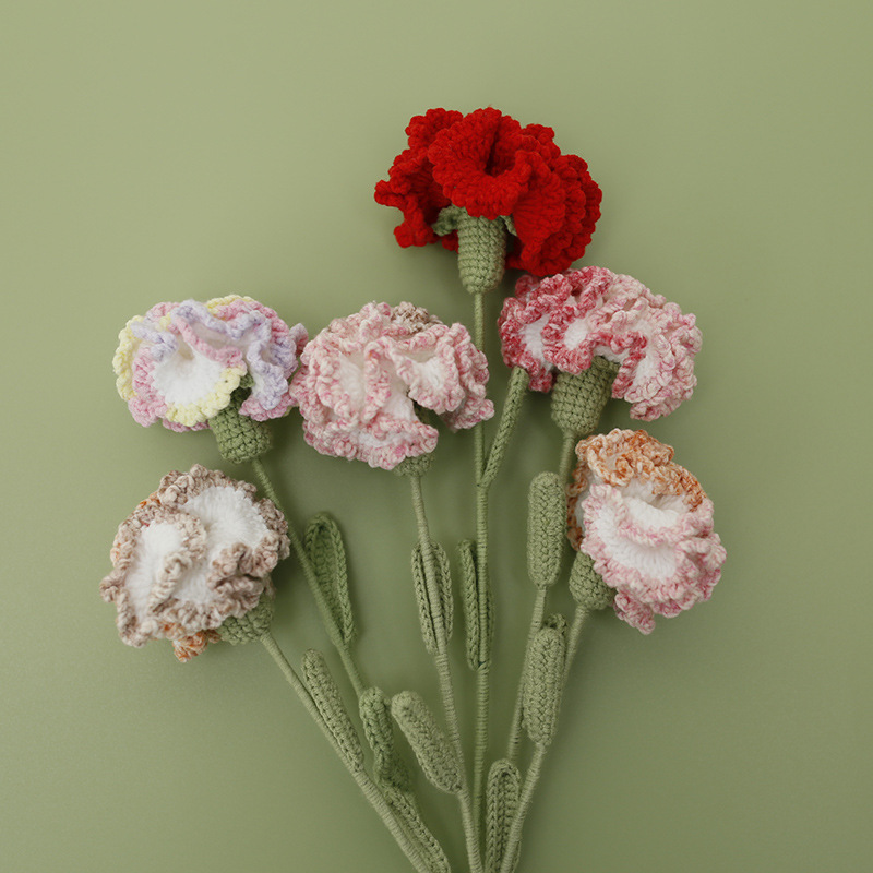 أميجورومي غزل الكروشيه القرنفل - مراجعة Yarn Home Decor وسعره