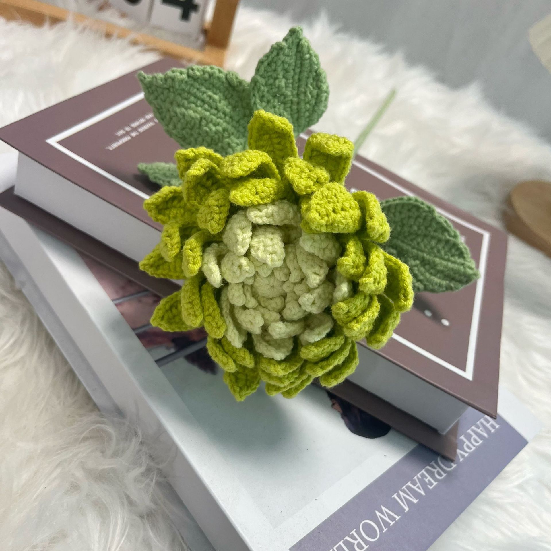 منتجات داليا النهائية باقة مصن - مراجعة Yarn Home Decor وسعره