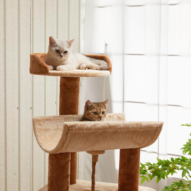 برج قطط فاخر خشبي متعدد المستو - مراجعة Home Decor Kota وسعره