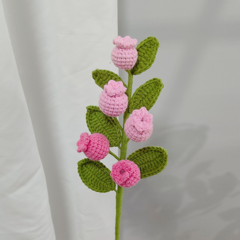 باقة كروشيه مصنوعة يدويًا ، زه - مراجعة Yarn Home Decor وسعره