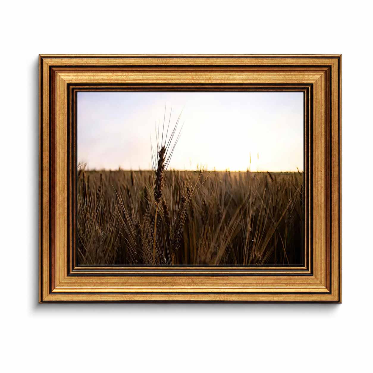 لوحة فنية مؤطرة على قماش، طباع - مراجعة Home Decor Mirror وسعره